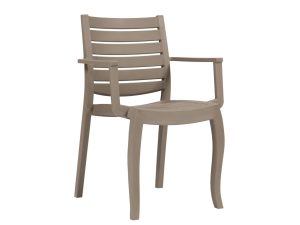 010-ZEUS WOOD PLASTİK KOLTUK